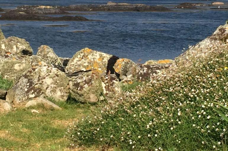 Seaside Log Cabin, Carna Villa Esterno foto